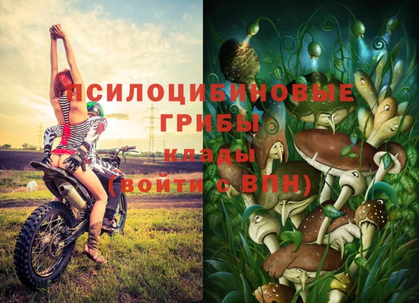 круглые Алексеевка
