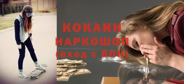индика Алзамай
