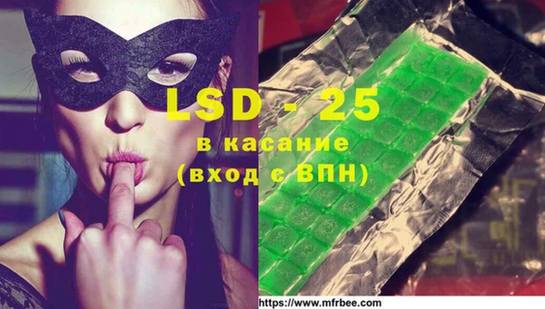 индика Алзамай
