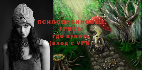 индика Алзамай